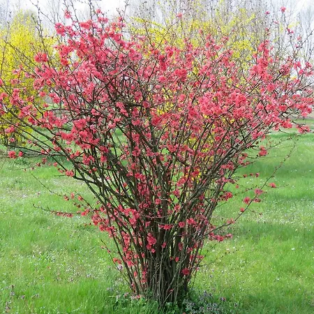 Affittacamere Maria Stella * Udine