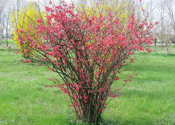 Affittacamere Maria Stella * Udine