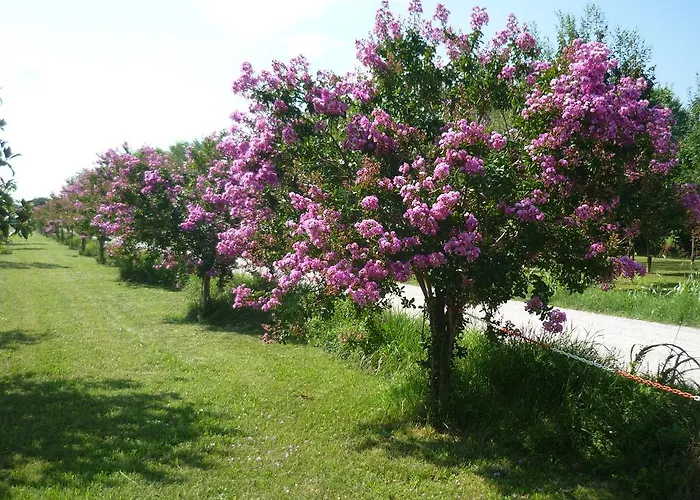 Affittacamere Maria Stella Pensionat *