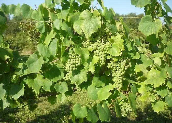 Affittacamere Maria Stella Pensionat *